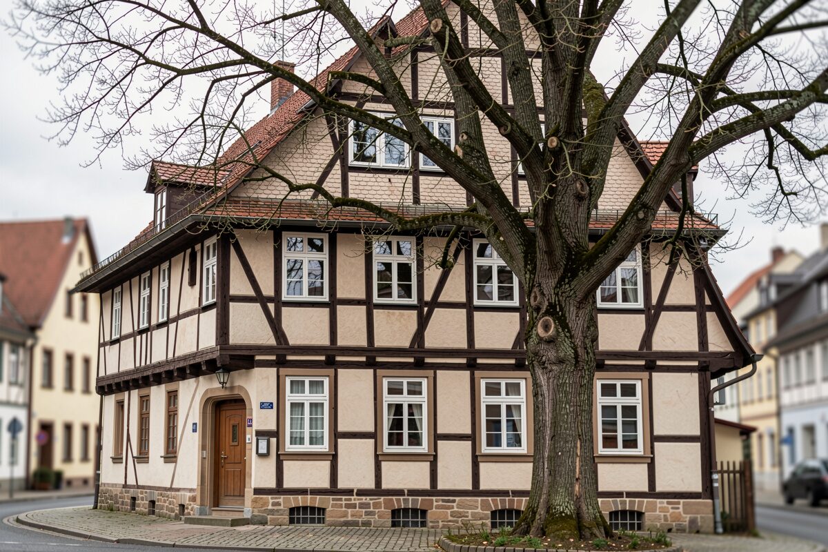 Ein Fachwerkhaus aus der Straßenperspektive mit Lindenbaum davor